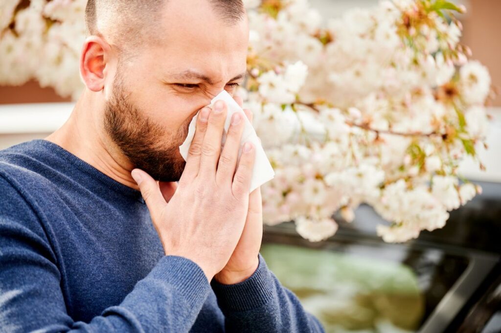 natural remedies for hayfever and allergies